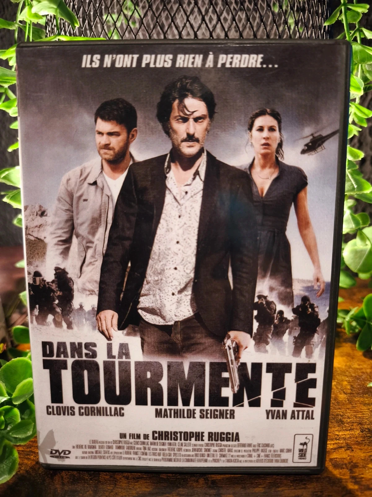 Dans la tourmente